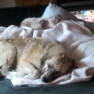 Meet your Posher, Lynn